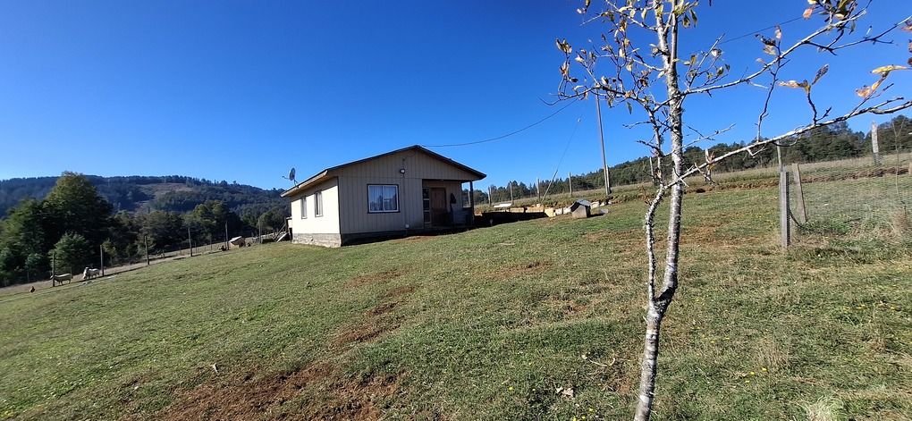Foto 8 de A496 PARCELA DE 5.000 m² CON CASA – SECTOR LOS COPIHUES