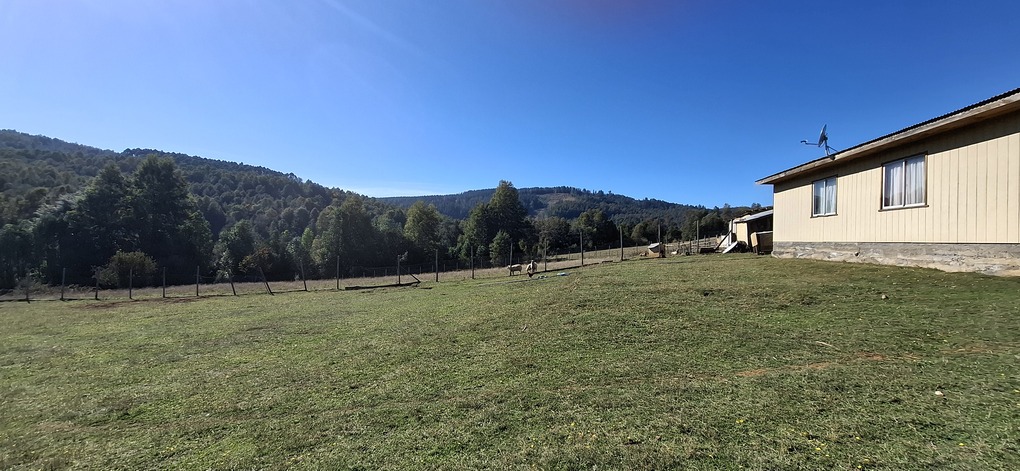 Foto 10 de A496 PARCELA DE 5.000 m² CON CASA – SECTOR LOS COPIHUES