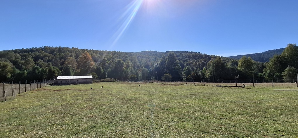 Foto 11 de A496 PARCELA DE 5.000 m² CON CASA – SECTOR LOS COPIHUES