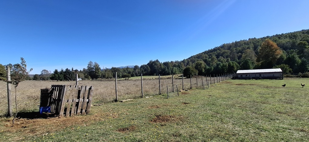 Foto 12 de A496 PARCELA DE 5.000 m² CON CASA – SECTOR LOS COPIHUES
