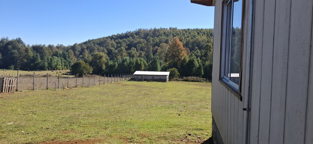 Foto 13 de A496 PARCELA DE 5.000 m² CON CASA – SECTOR LOS COPIHUES