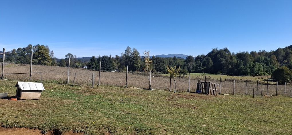 Foto 14 de A496 PARCELA DE 5.000 m² CON CASA – SECTOR LOS COPIHUES