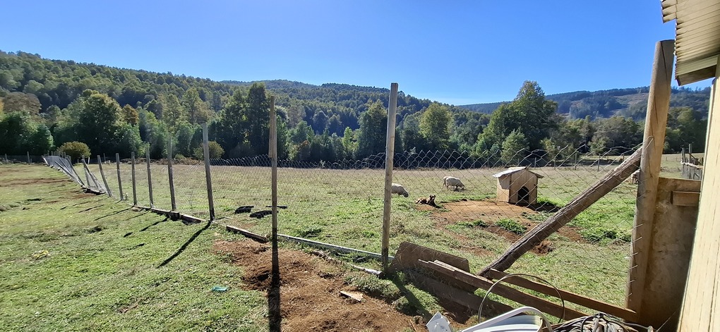 Foto 19 de A496 PARCELA DE 5.000 m² CON CASA – SECTOR LOS COPIHUES