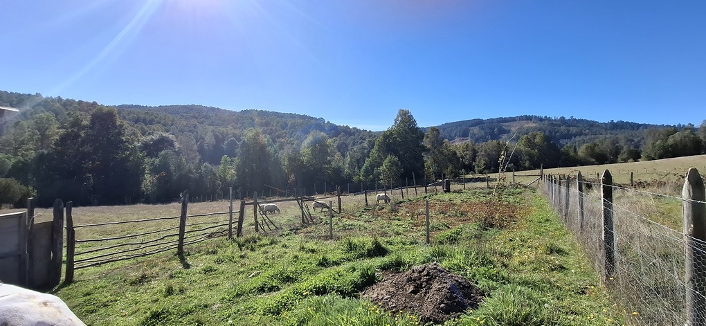 Foto 20 de A496 PARCELA DE 5.000 m² CON CASA – SECTOR LOS COPIHUES