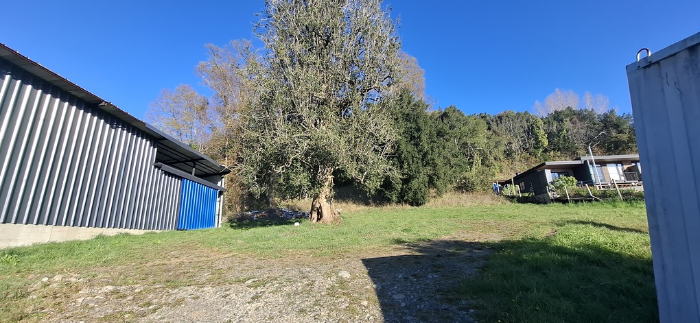 Foto 5 de A492 TERRENO A ORILLA DE LA RUTA VILLARRICA–PUCÓN, SECTOR ALTAMIRA
