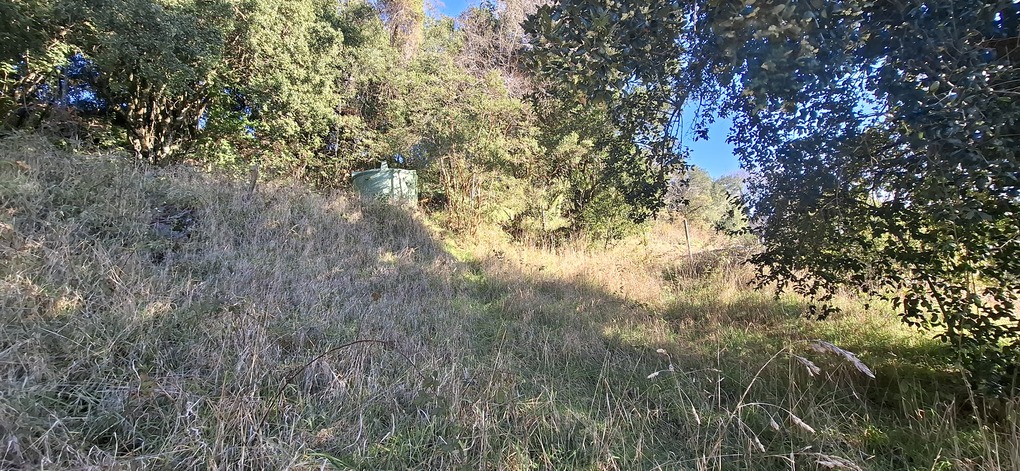 Foto 11 de A492 TERRENO A ORILLA DE LA RUTA VILLARRICA–PUCÓN, SECTOR ALTAMIRA