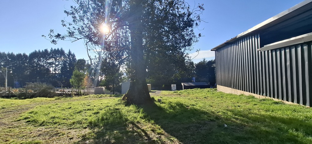 Foto 15 de A492 TERRENO A ORILLA DE LA RUTA VILLARRICA–PUCÓN, SECTOR ALTAMIRA