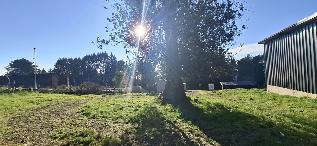 Foto 16 de A492 TERRENO A ORILLA DE LA RUTA VILLARRICA–PUCÓN, SECTOR ALTAMIRA