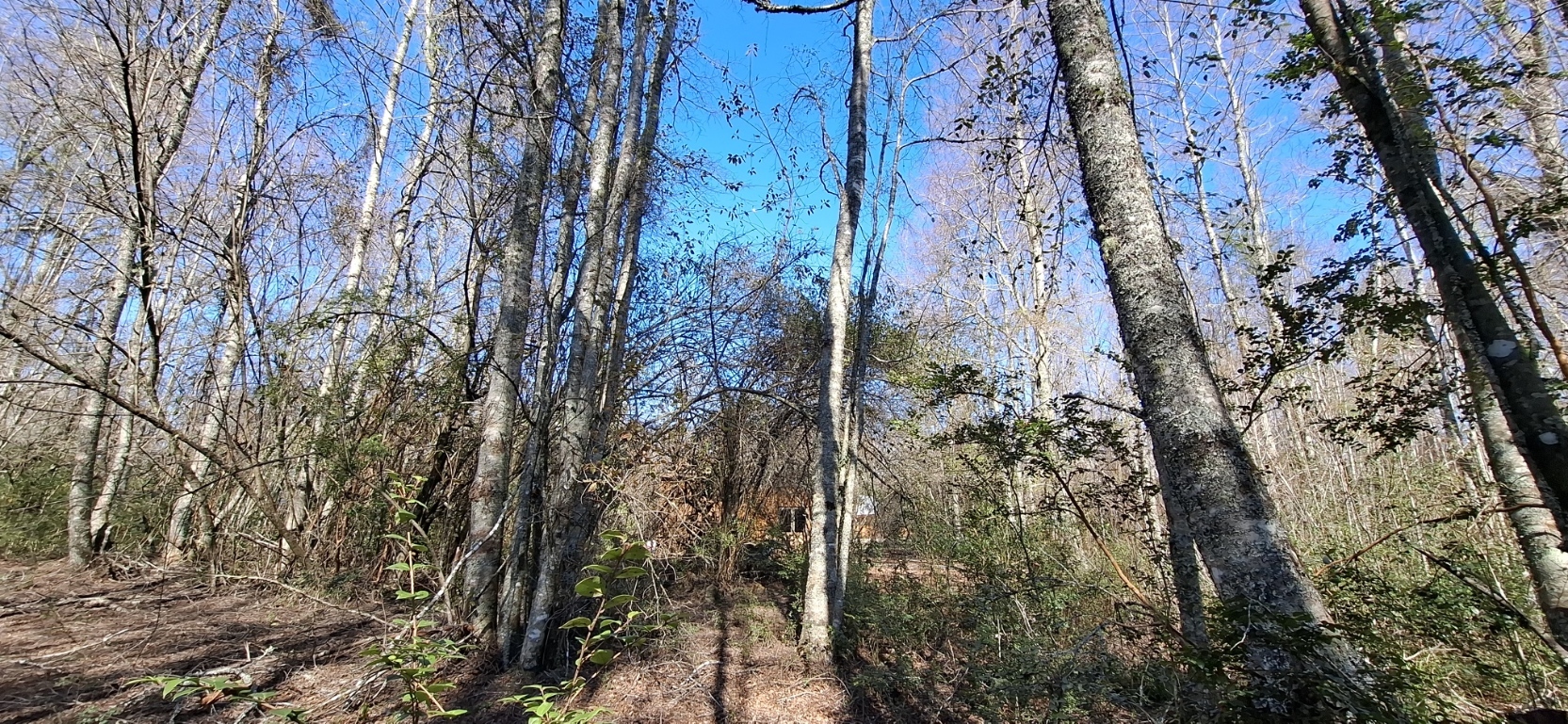 Foto 5 de A499 TERRENO DE 9.800 M² CON QUINCHO, VERTIENTE Y PUENTE EN MOLCO CHOSCO