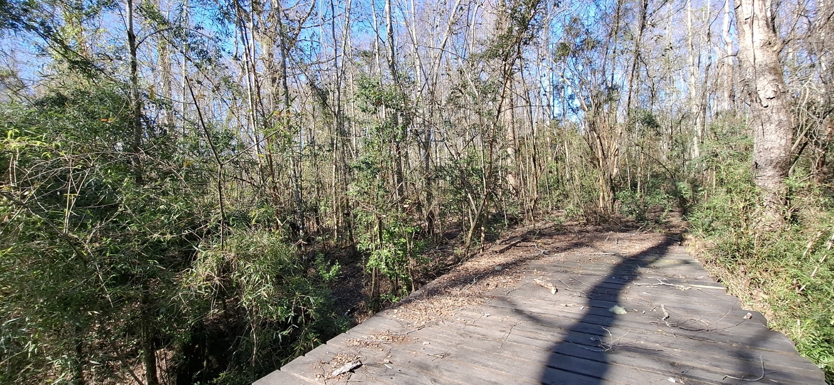 Foto 12 de A499 TERRENO DE 9.800 M² CON QUINCHO, VERTIENTE Y PUENTE EN MOLCO CHOSCO