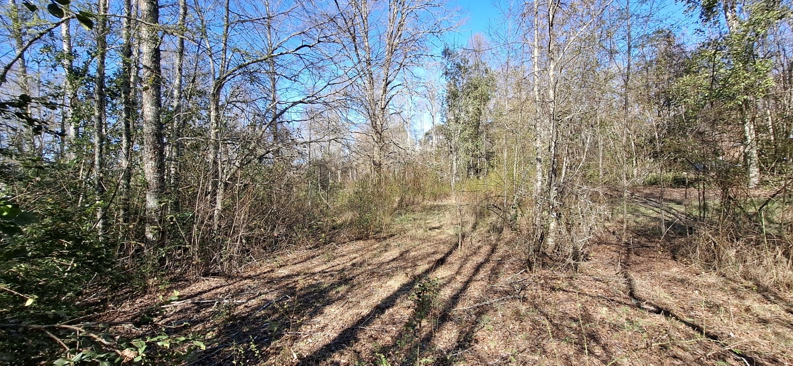 Foto 23 de A499 TERRENO DE 9.800 M² CON QUINCHO, VERTIENTE Y PUENTE EN MOLCO CHOSCO