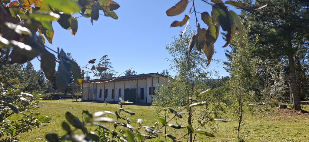 Foto 8 de A493 EXCLUSIVA CASA CON CABAÑA EN PARCELA CERCANA AL RÍO TOLTÉN