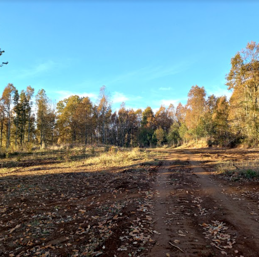 Foto 2 de A233 Hermosa parcela ubicada en Loteo Altopan - Villarrica