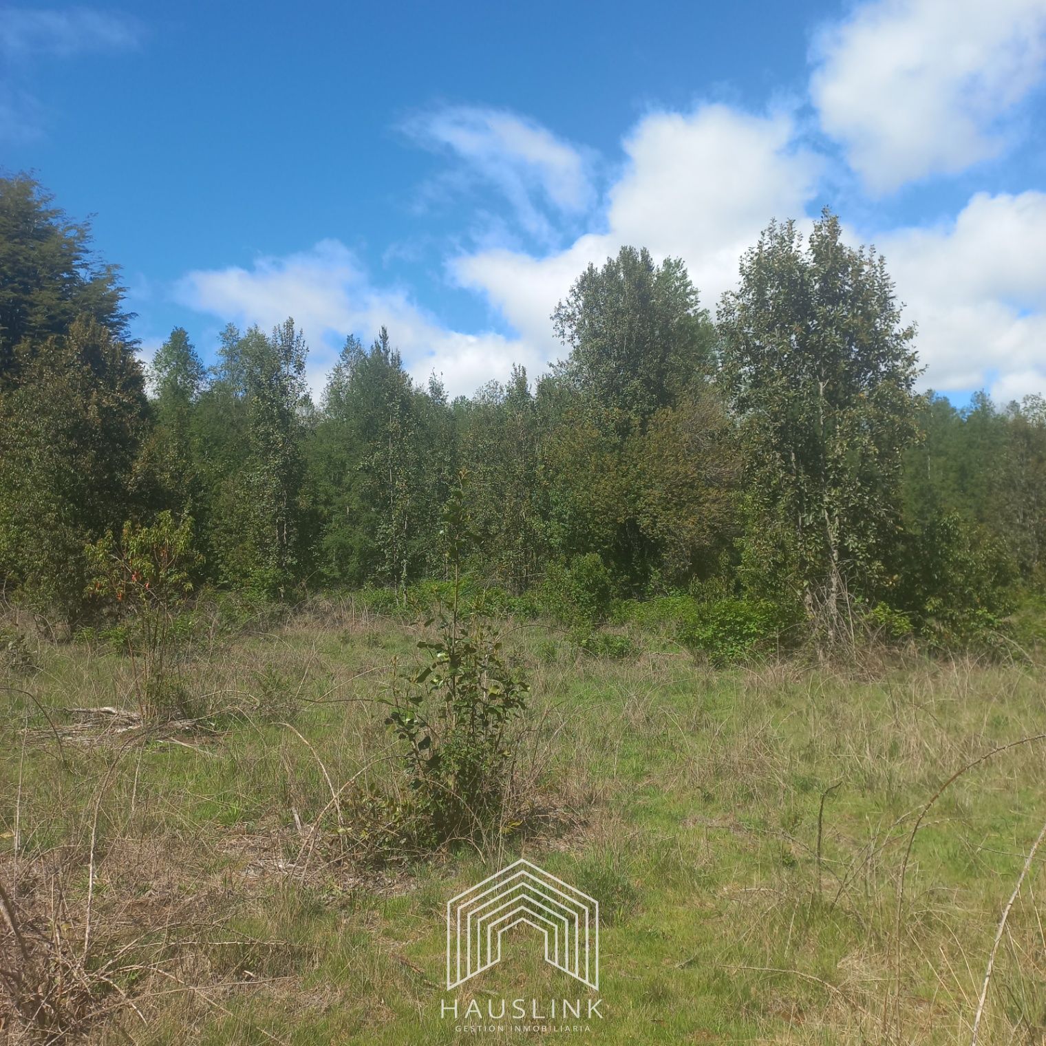 Foto 9 de A412 TERRENO 6.5 Ha. MOLCO - SEGUNDA FAJA VILLARRICA