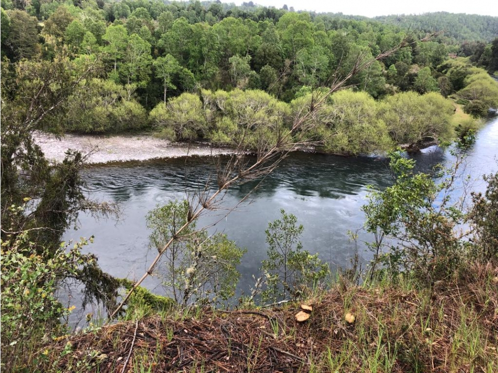 Foto 6 de A324 Parcela a pasos del río Toltén sector El tume Villarrica