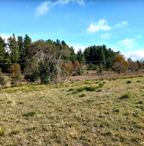 Foto 12 de A244 Solo 5 parc. disponibles en Terrazas de Putue-Villarrica lado colegio Inglès