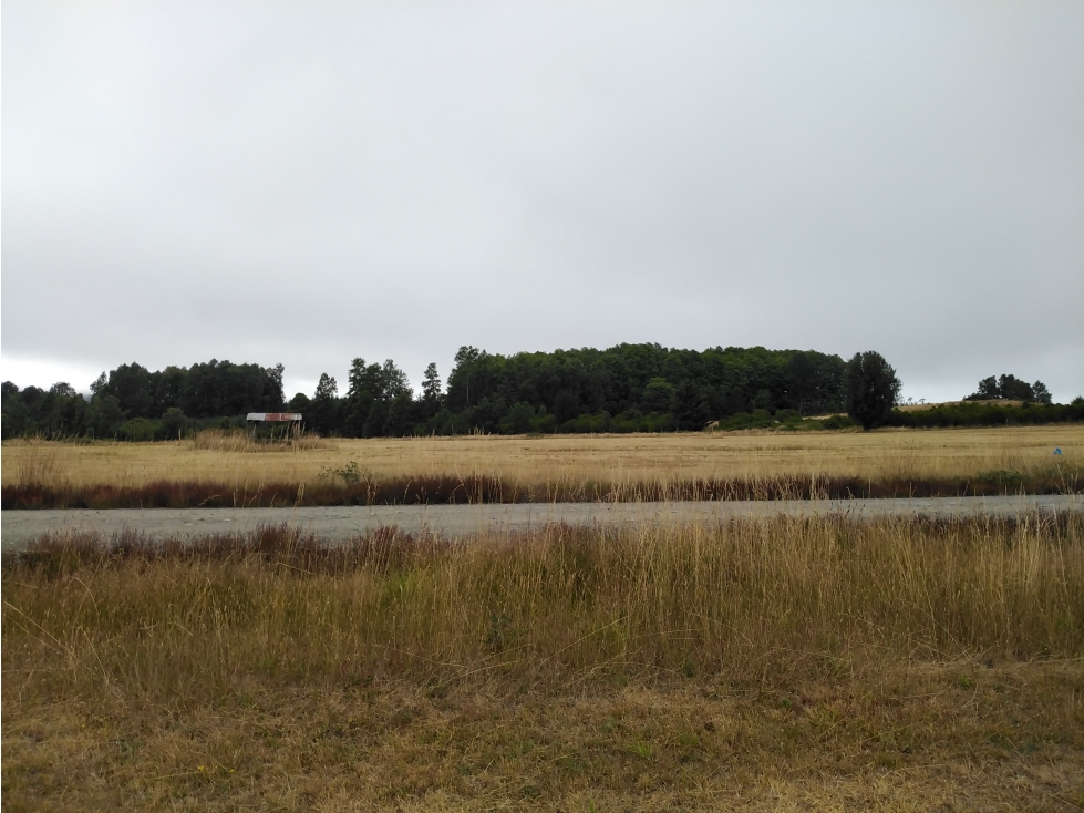 Foto 8 de A86 Flor del Lago, Loteo Peumayen