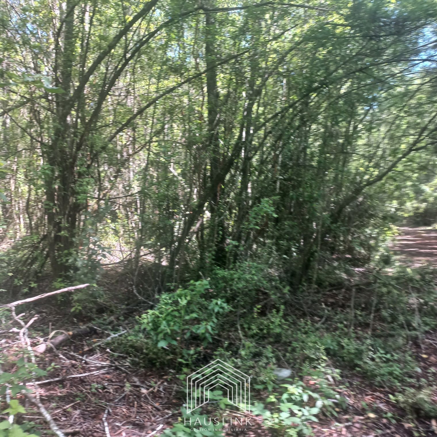 Foto 19 de A412 TERRENO 6.5 Ha. MOLCO - SEGUNDA FAJA VILLARRICA