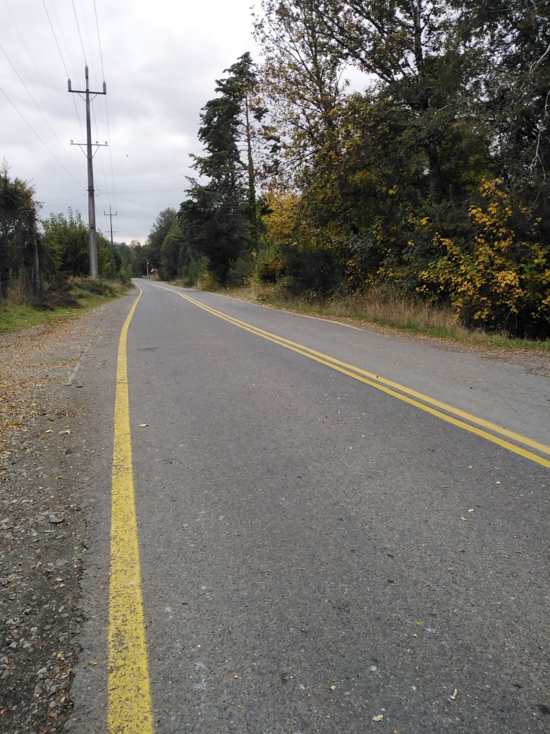Foto 2 de A180 Parcelas en loteo familiar sector Conquil - Villarrica