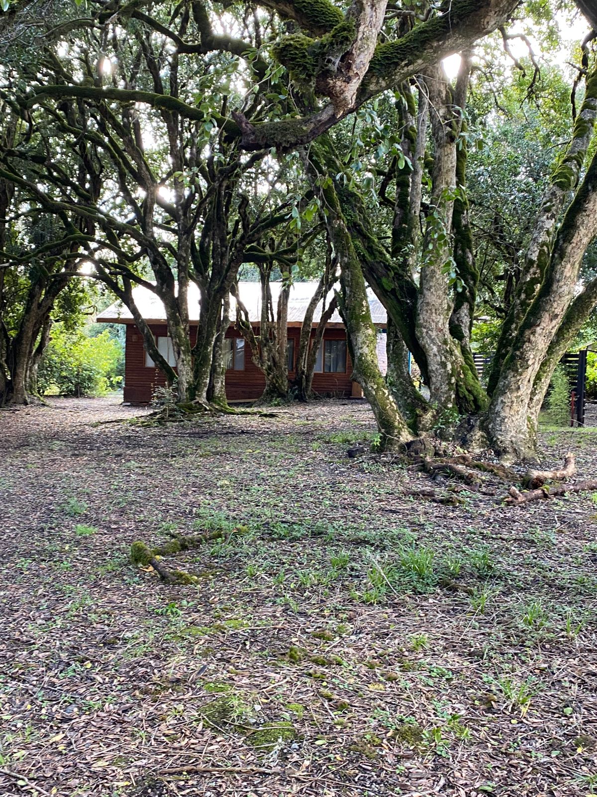 Foto 19 de A435 Exclusiva parcela con casa, vista al volcán y con orilla de lago a 4 km de Villarrica
