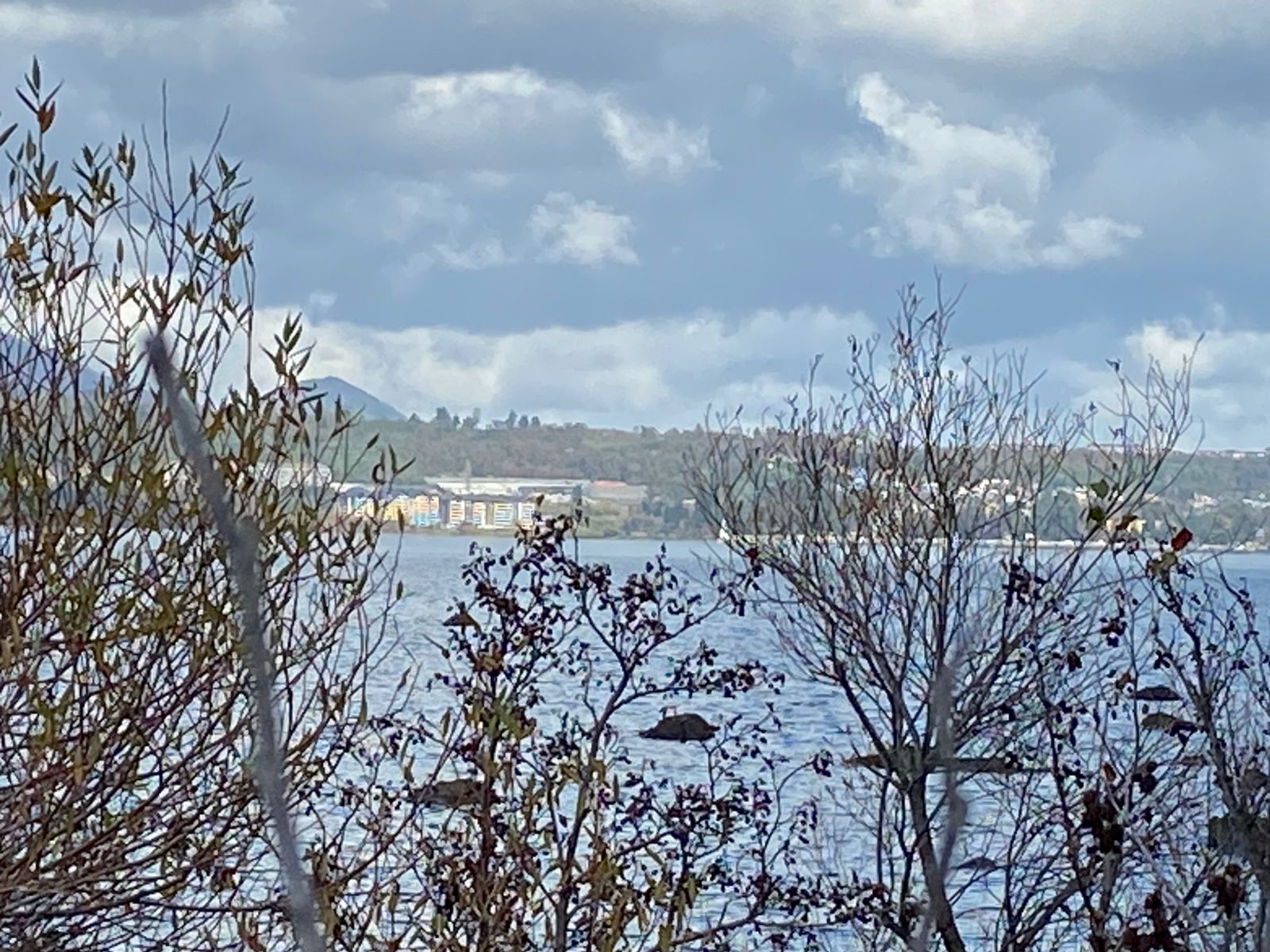 Foto 21 de A435 Exclusiva parcela con casa, vista al volcán y con orilla de lago a 4 km de Villarrica