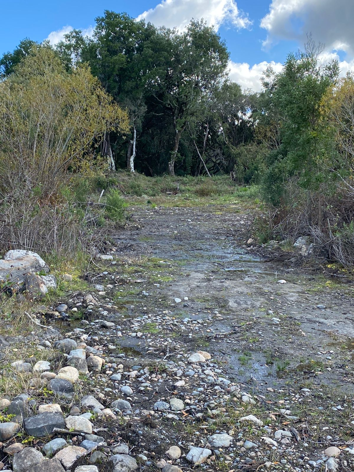 Foto 22 de A435 Exclusiva parcela con casa, vista al volcán y con orilla de lago a 4 km de Villarrica