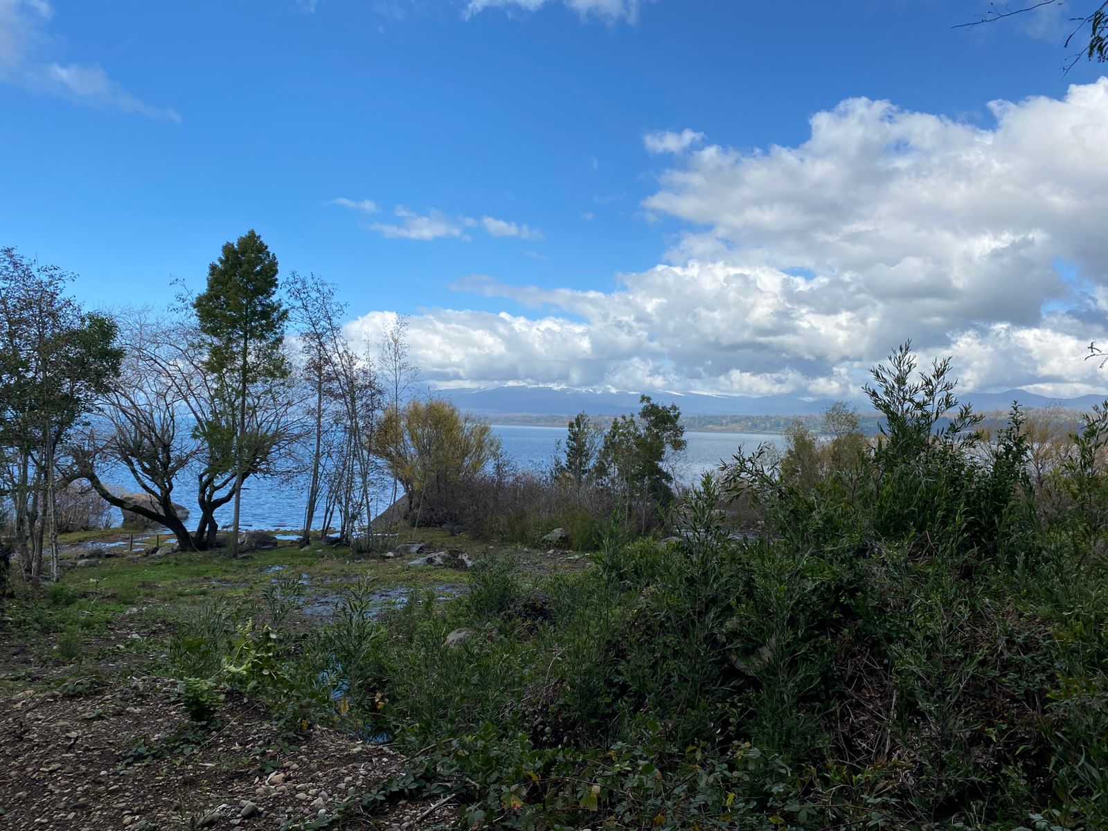 Foto 28 de A435 Exclusiva parcela con casa, vista al volcán y con orilla de lago a 4 km de Villarrica