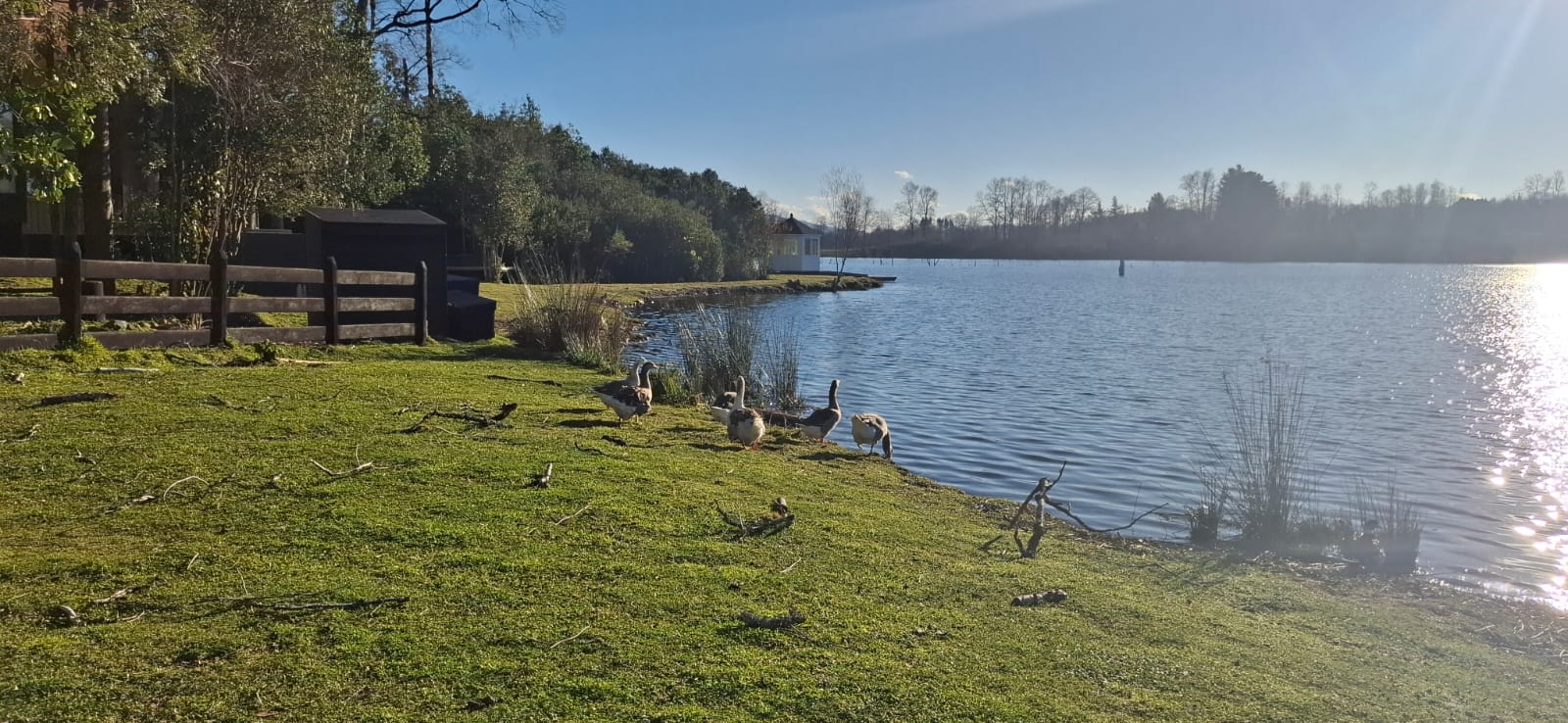 Foto 4 de A489 Exclusivas parcellas con acceso directo a Laguna en Cond. Santuario- Villarrica