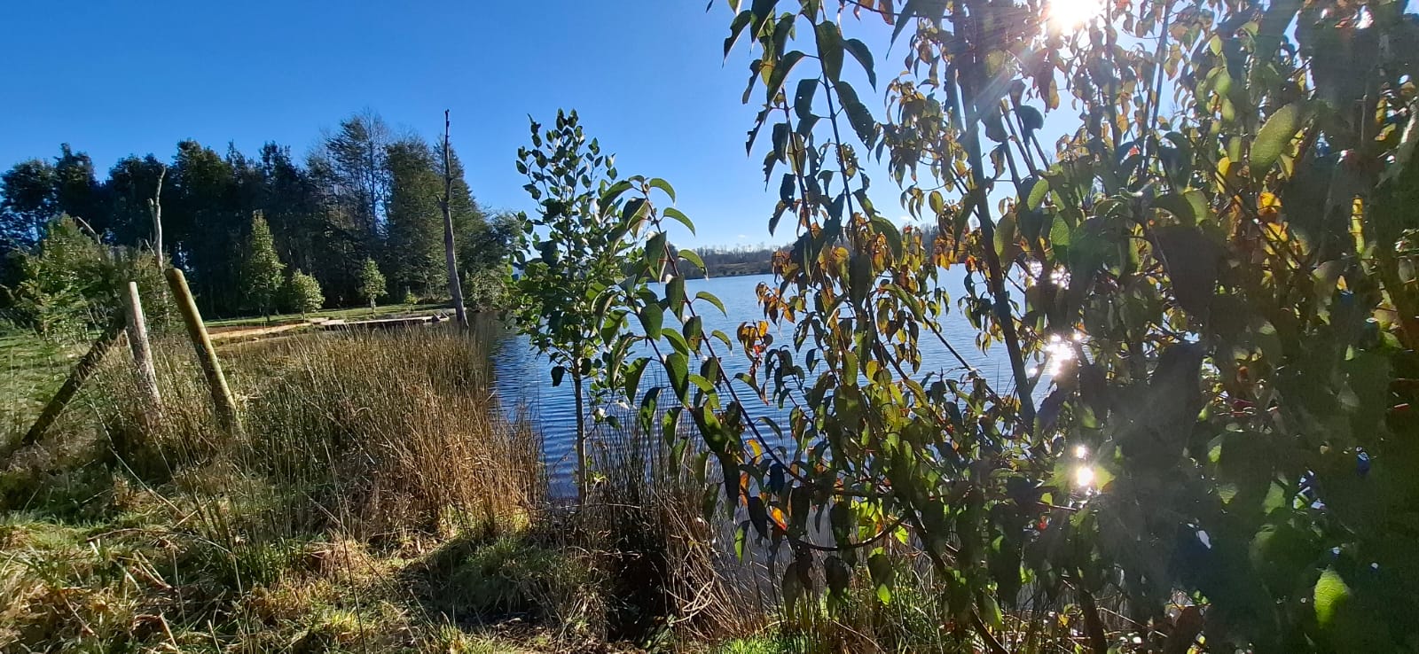 Foto 5 de A489 Exclusivas parcellas con acceso directo a Laguna en Cond. Santuario- Villarrica