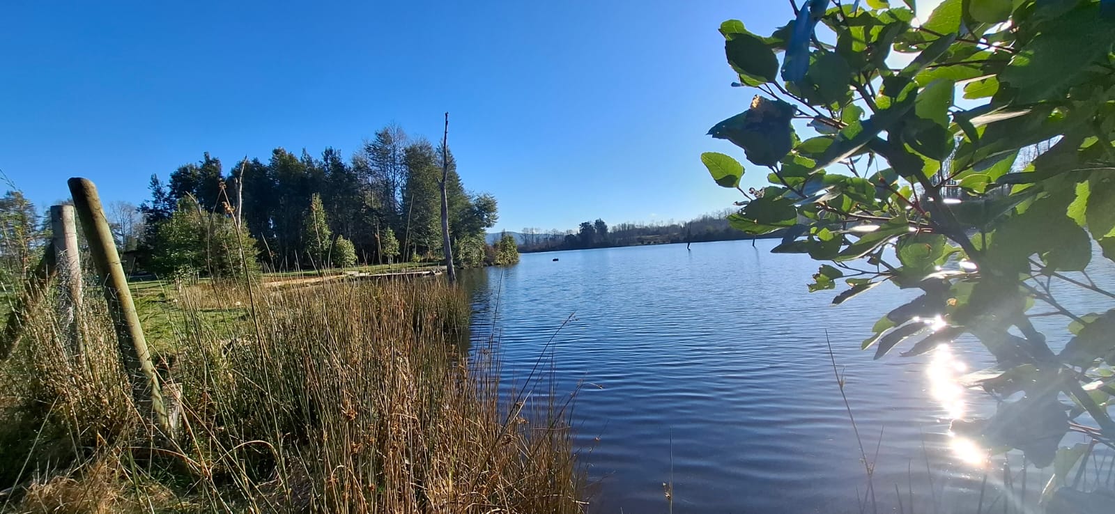 Foto 10 de A489 Exclusivas parcellas con acceso directo a Laguna en Cond. Santuario- Villarrica