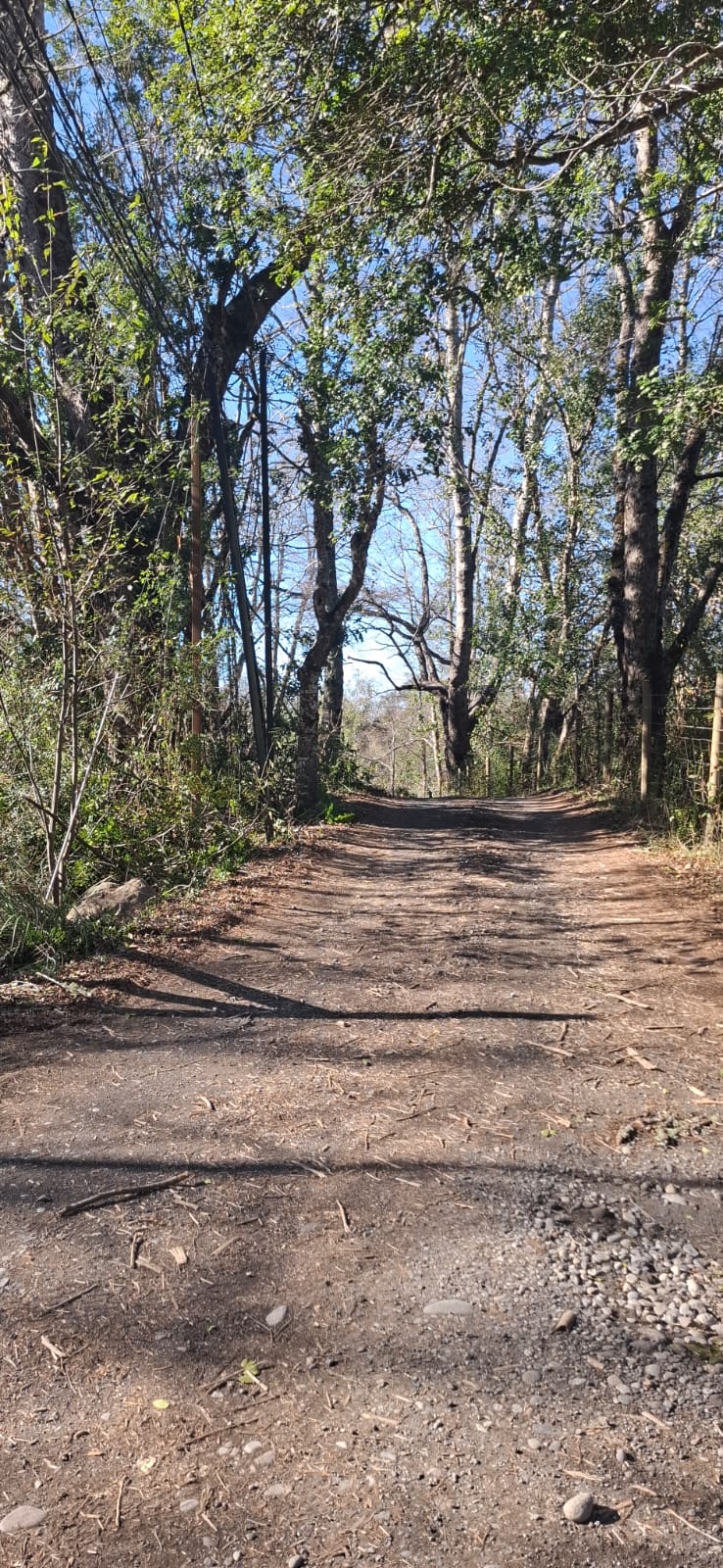 Foto 3 de A500 TERRENO DE 5.500 M² CON ESTERO EN MOLCO ALTO