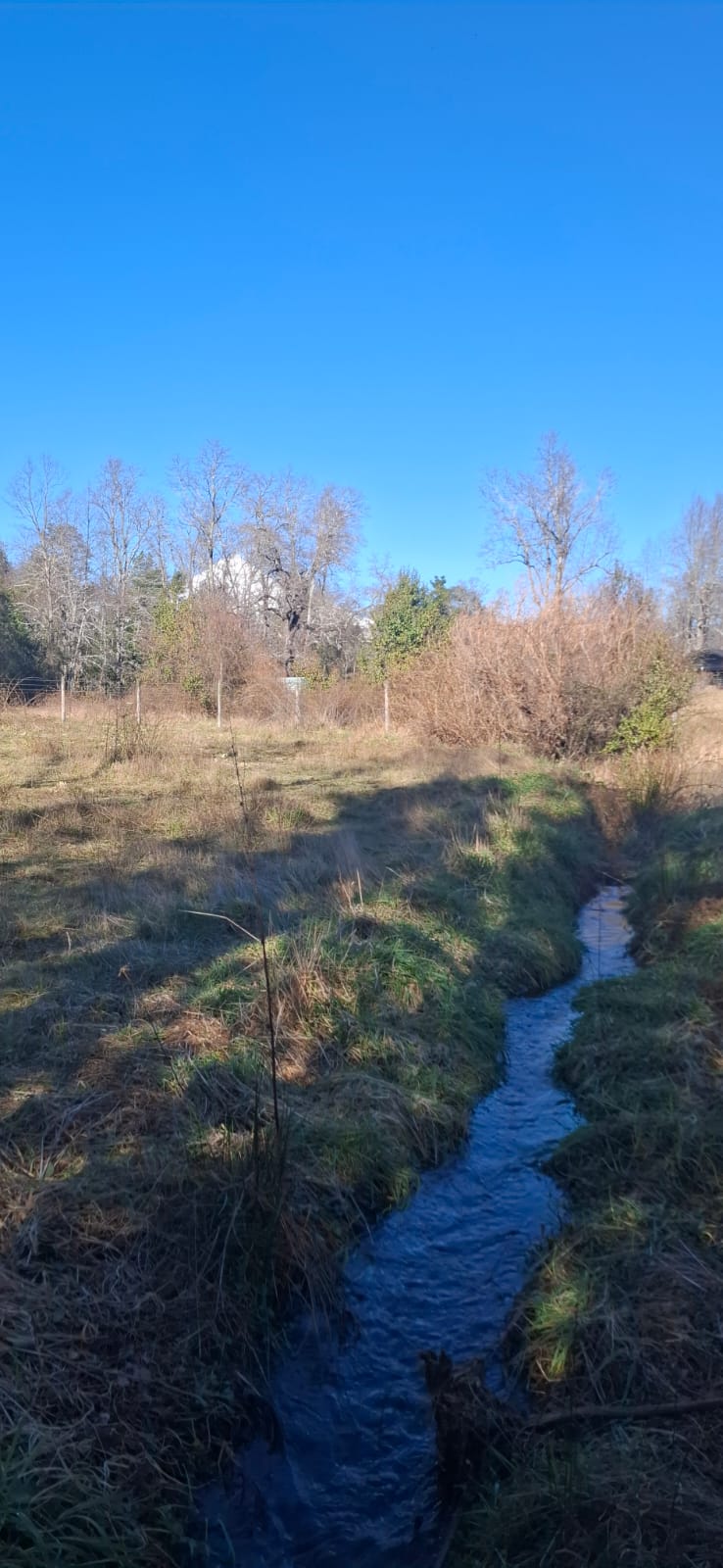 Foto 8 de A500 TERRENO DE 5.500 M² CON ESTERO EN MOLCO ALTO
