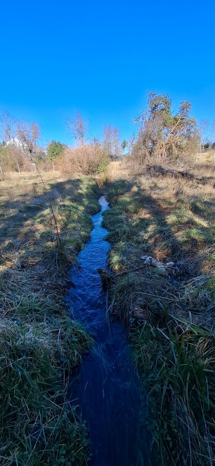 Foto 6 de A500 TERRENO DE 5.500 M² CON ESTERO EN MOLCO ALTO