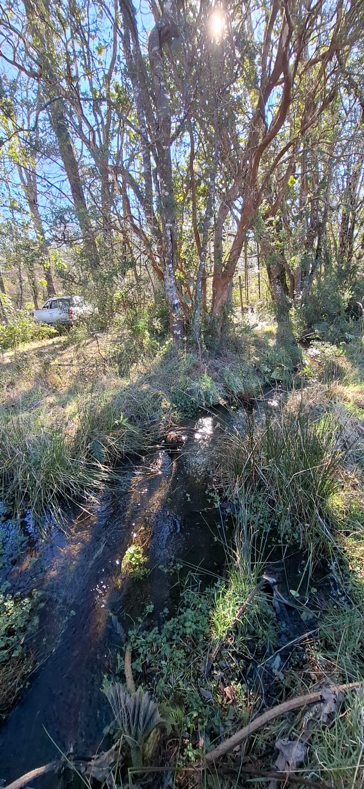 Foto 11 de A500 TERRENO DE 5.500 M² CON ESTERO EN MOLCO ALTO