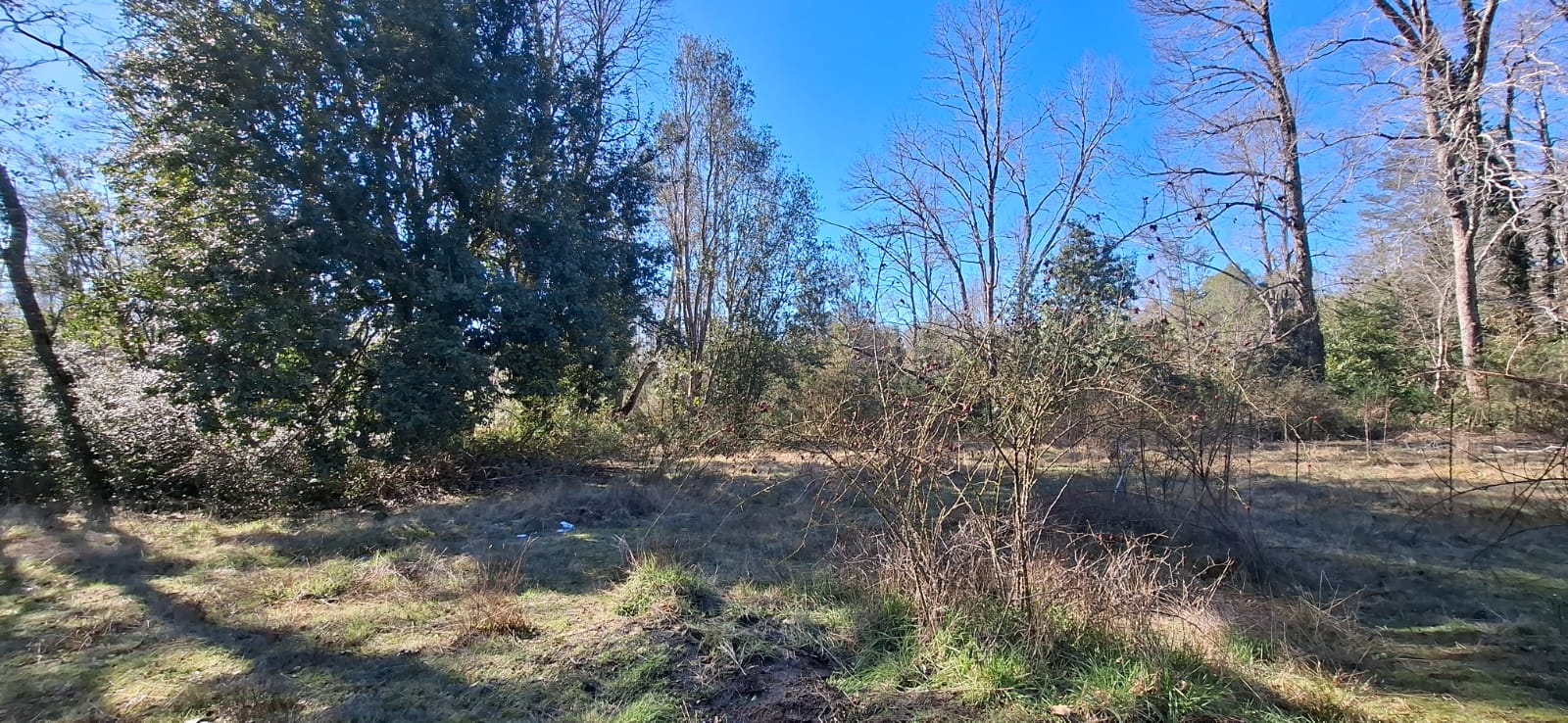 Foto 10 de A500 TERRENO DE 5.500 M² CON ESTERO EN MOLCO ALTO