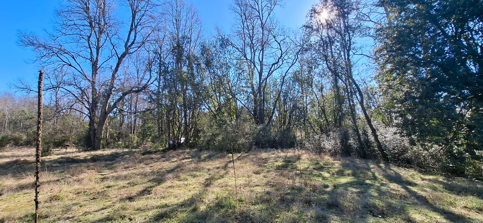 Foto 13 de A500 TERRENO DE 5.500 M² CON ESTERO EN MOLCO ALTO