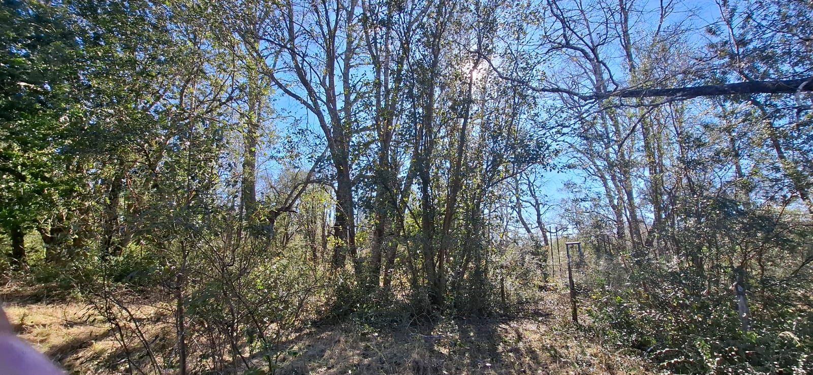Foto 15 de A500 TERRENO DE 5.500 M² CON ESTERO EN MOLCO ALTO