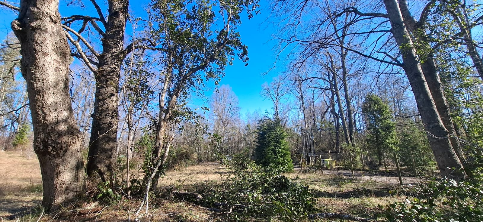 Foto 17 de A500 TERRENO DE 5.500 M² CON ESTERO EN MOLCO ALTO