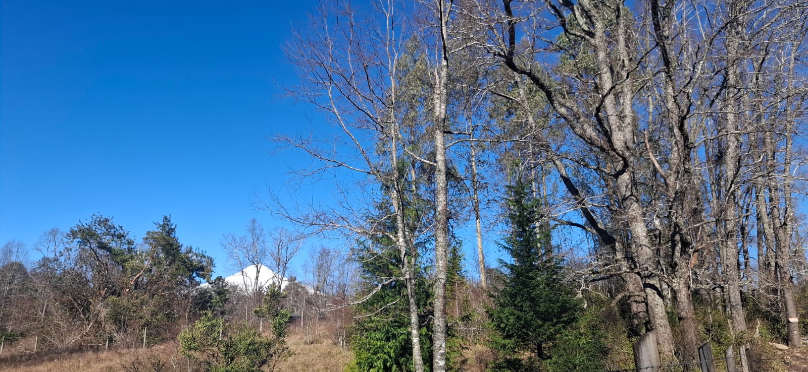 Foto 16 de A500 TERRENO DE 5.500 M² CON ESTERO EN MOLCO ALTO