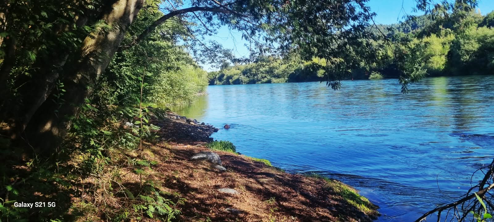 Foto 17 de A493 EXCLUSIVA CASA CON CABAÑA EN PARCELA CERCANA AL RÍO TOLTÉN