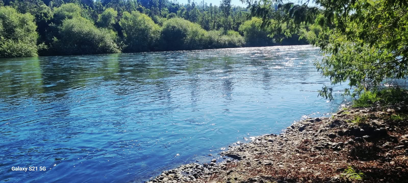 Foto 16 de A493 EXCLUSIVA CASA CON CABAÑA EN PARCELA CERCANA AL RÍO TOLTÉN