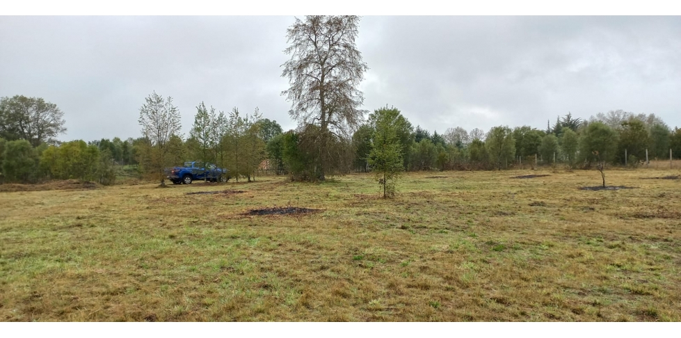 Foto 9 de A324 Parcela a pasos del río Toltén sector El tume Villarrica
