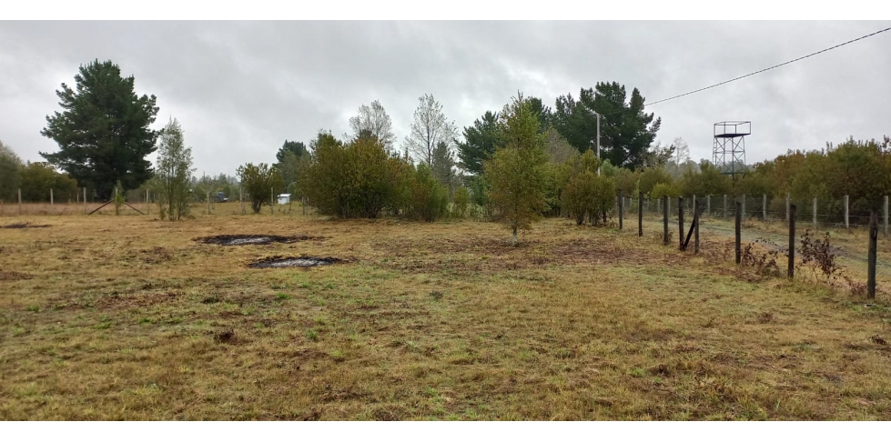 Foto 7 de A324 Parcela a pasos del río Toltén sector El tume Villarrica