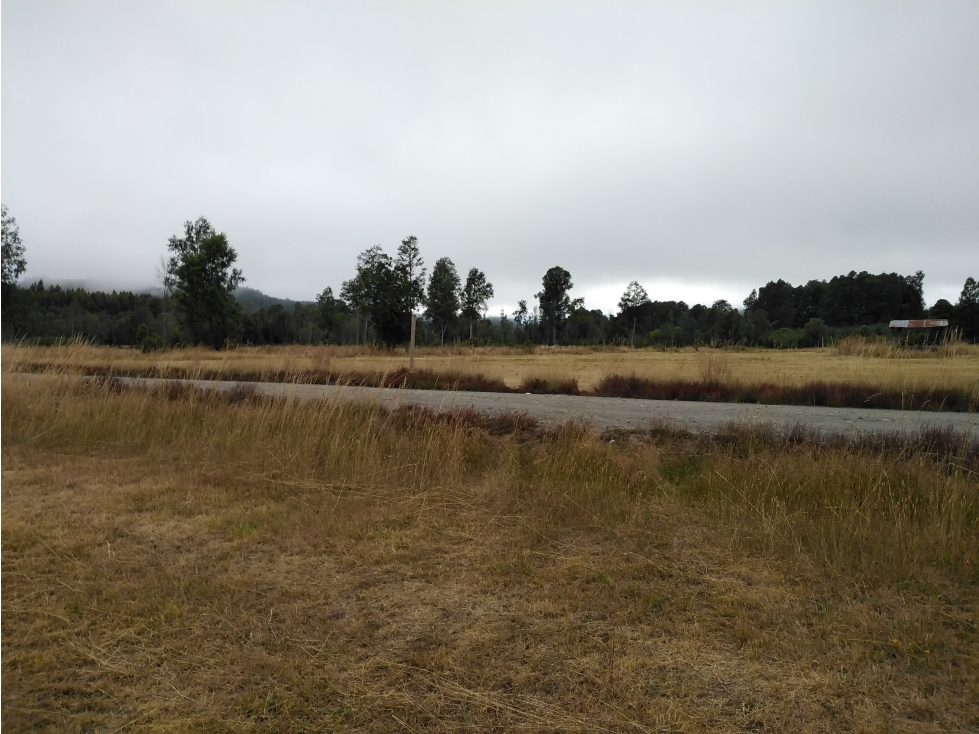 Foto 9 de A86 Flor del Lago, Loteo Peumayen