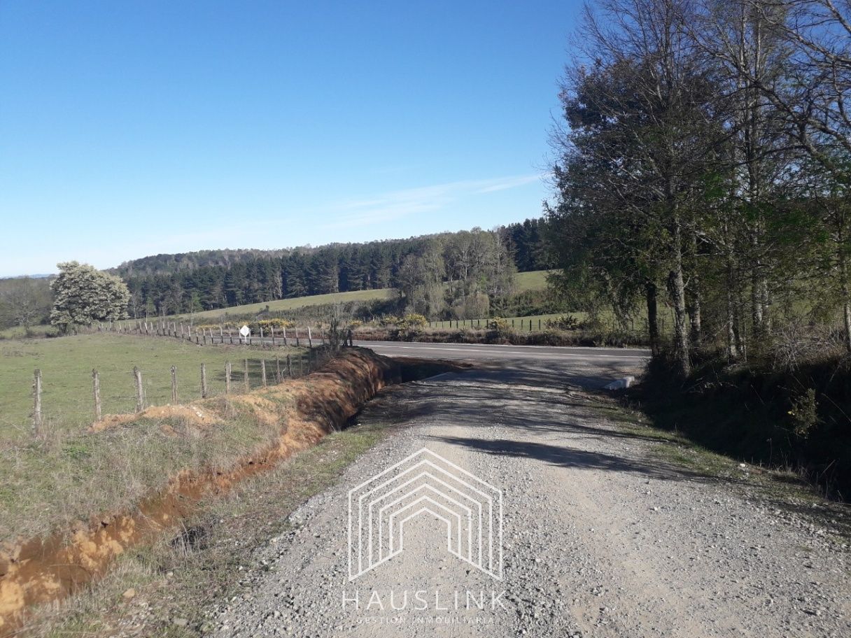 Foto 10 de A479 Terreno tres hás. Catrico La Mañana - Villarrica