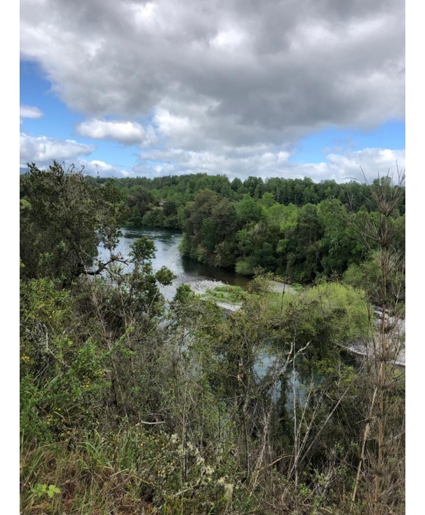 Foto 11 de A324 Parcela a pasos del río Toltén sector El tume Villarrica